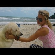 ���������� ������, ���� ������� ������, 40 ���, ������������ ��� ������, ����� � ���������, c�������� ���������