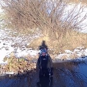 ���������� ���������, ������� �������, 40