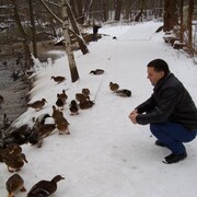 ����� ������