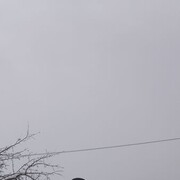  ,   , 52 ,   ,   , c 
