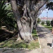  ,   , 58 ,   ,   