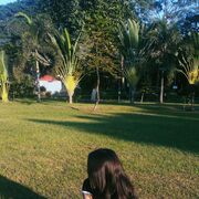 ���������� ������, ���� ������� ��������, 29 ���, ������������ ��� ������, ����� � ���������