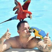 ���������� �����-���������, ���� ������� Nikita, 31 ���, ������������ ��� ������, ����� � ���������