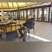 ���������� �����������, ���� ������� �����, 46 ���, ������������ ��� ������, ����� � ���������