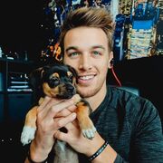 ���������� ������, ���� ������� ������, 37 ���, ������������ ��� ������, ����� � ���������, c�������� ���������