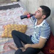  ,   Zamir, 33 ,   ,   , c , 