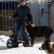 ���������� �������, ���� ������� ����, 37 ���, ������������ ��� ����� � ���������, c�������� ���������, ���������