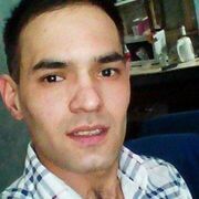 ���������� �������, ���� ������� ������, 37 ���, ������������ ��� ������, ����� � ���������