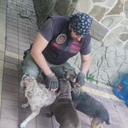  ,   , 35 ,  