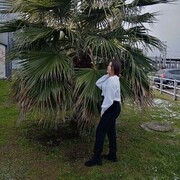   ,   , 21 ,   ,   , c , 