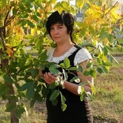  ,   , 48 ,   ,   , c 