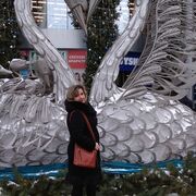 ���������� �����������, ���� ������� ����, 49 ���, ������������ ��� ������, ����� � ���������