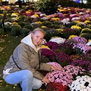 ���������� ������, ���� ������� �������, 56 ���, ������������ ��� ������, ����� � ���������