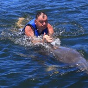 ���������� ����, ���� ������� �����, 43 ����, ������������ ��� ������, ����� � ���������