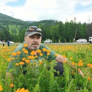  ,   , 55 ,   ,   