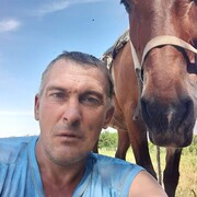 ���������� ���������, ������� �����, 44