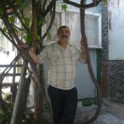  ,   , 60 ,   