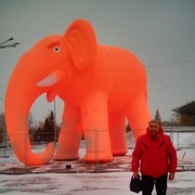  ,   Oleg, 59 ,   ,   , c 