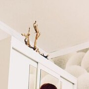  ,   , 47 ,   ,   , c 