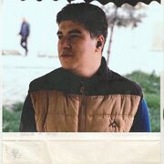 ���������� ���������, ���� ����� ������, 24 ����, ������������ ��� ������, ����� � ���������