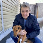 ���������� ���������, ������� ������, 49