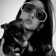 ���������� �����-���������, ���� ������� ���������, 28 ���, ������������ ��� ����� � ���������, ���������