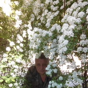  ,   Solomon, 55 ,   ,   , c 