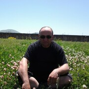  ,   , 47 ,  