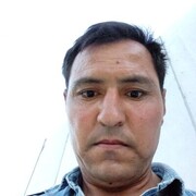  -,   , 43