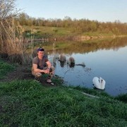 ���������� ������-��-����, ���� ������� �������, 36 ���, ������������ ��� ����� � ���������, c�������� ���������