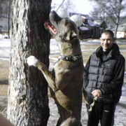 ���������� ���������, ���� ������� ����, 41 ���, ������������ ��� ������, ����� � ���������, c�������� ���������, ���������