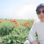  ,   Ario, 33 ,   ,   