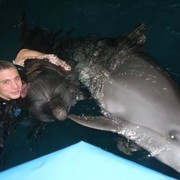 ���������� ������, ���� ������� ������, 31 ���, ������������ ��� ������, ����� � ���������, c�������� ���������