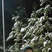  ,   Viktor, 37 ,     , c 