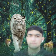 ���������� ������������, ���� ����� �������, 24 ����, ������������ ��� ������, ����� � ���������, c�������� ���������, ���������