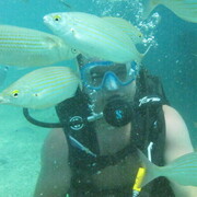 ���������� ���������, ���� ������� ������, 40 ���, ������������ ��� ������, ����� � ���������