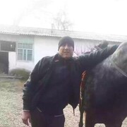  ,    , 45 ,   ,   