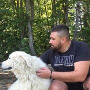 ���������� ������, ���� ������� ����, 33 ����, ������������ 