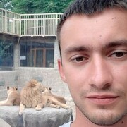 ���������� �����������, ���� ������� ���������, 29 ���, ������������ ��� ������, ����� � ���������, c�������� ���������