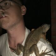 ���������� �����-���������, ���� ������� ������, 26 ���, ������������ ��� ������, ����� � ���������