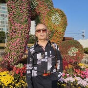  ,   , 49 ,   ,   