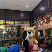 ���������� �����-���������, ���� ������� �����, 37 ���, ������������ ��� ������, ����� � ���������, ���������