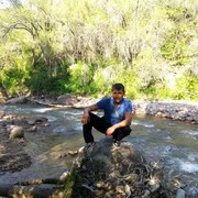   ,   , 42 ,  