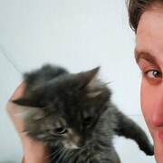 ���������� �����-���������, ���� ������� ���������, 38 ���, ������������ ��� ������, ����� � ���������, c�������� ���������