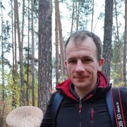 ���������� ������, ���� ������� ������, 40 ���, ������������ ��� ������, ����� � ���������, c�������� ���������, ���������