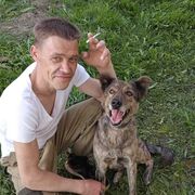 ���������� �������, ���� ������� ����, 37 ���, ������������ ��� ������, ����� � ���������