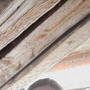  ,  , 31