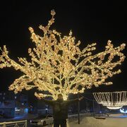 ���������� ���������, ���� ������� �����, 29 ���, ������������ ��� ������, ����� � ���������, c�������� ���������, ���������