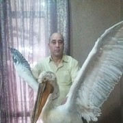  ,   , 56 ,   ,   , c , 