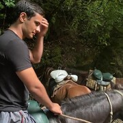 ���������� ����, ���� ����� �����, 24 ����, ������������ ��� ������, ����� � ���������